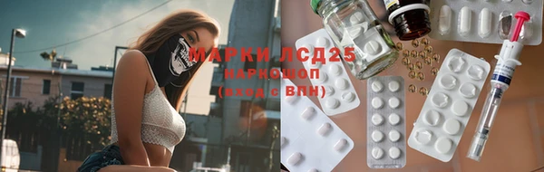 амф Алексин