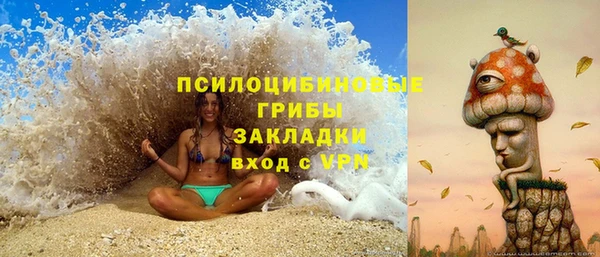 шишки Алзамай