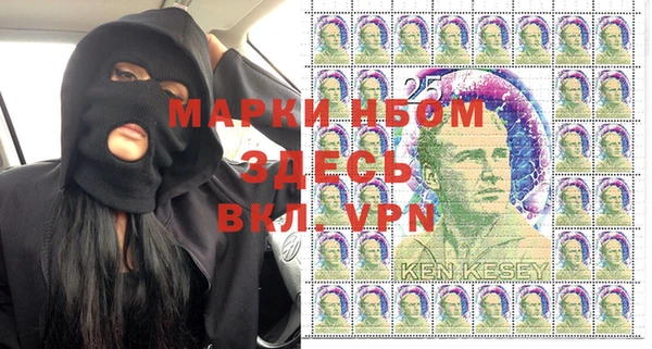 шишки Алзамай
