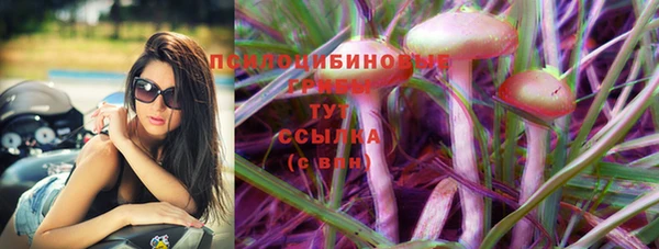 mix Аркадак