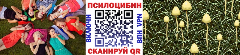 Галлюциногенные грибы Cubensis  Железногорск-Илимский 